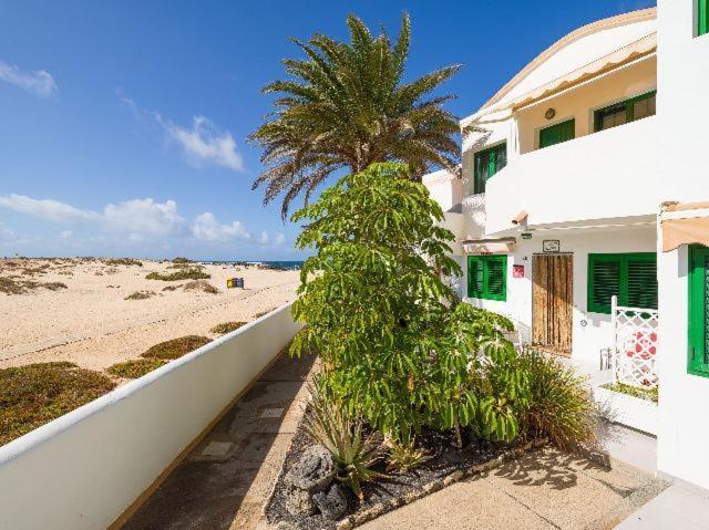 Apartamento Nire Lula En La Misma Playa Cotillo エクステリア 写真
